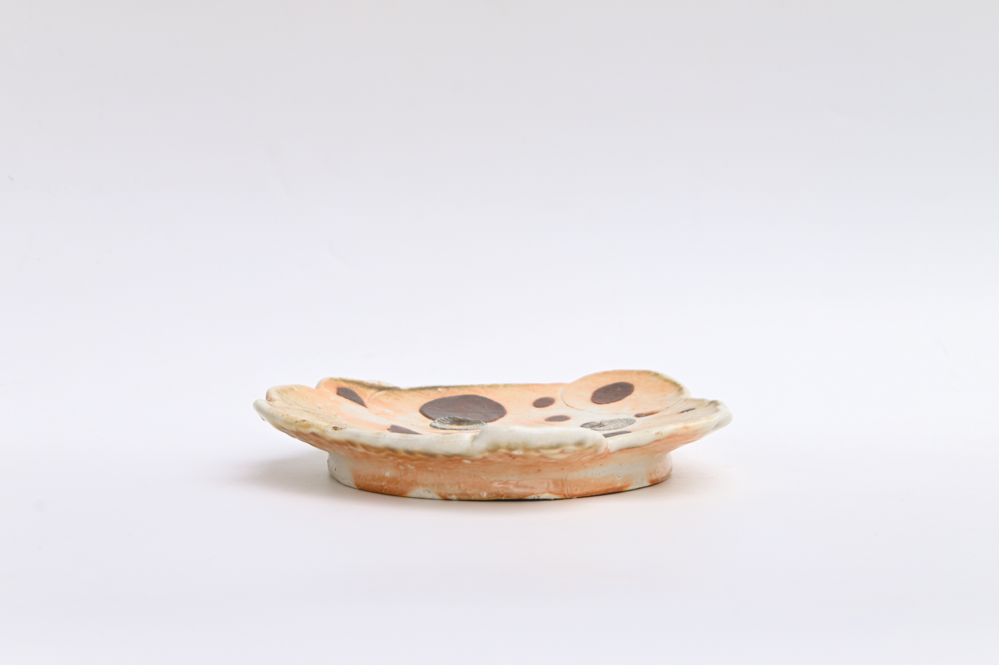 43. Assembled Plate / Wall-hanging