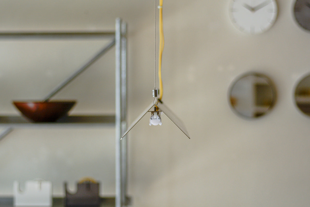 Stainless Ceiling Lamp