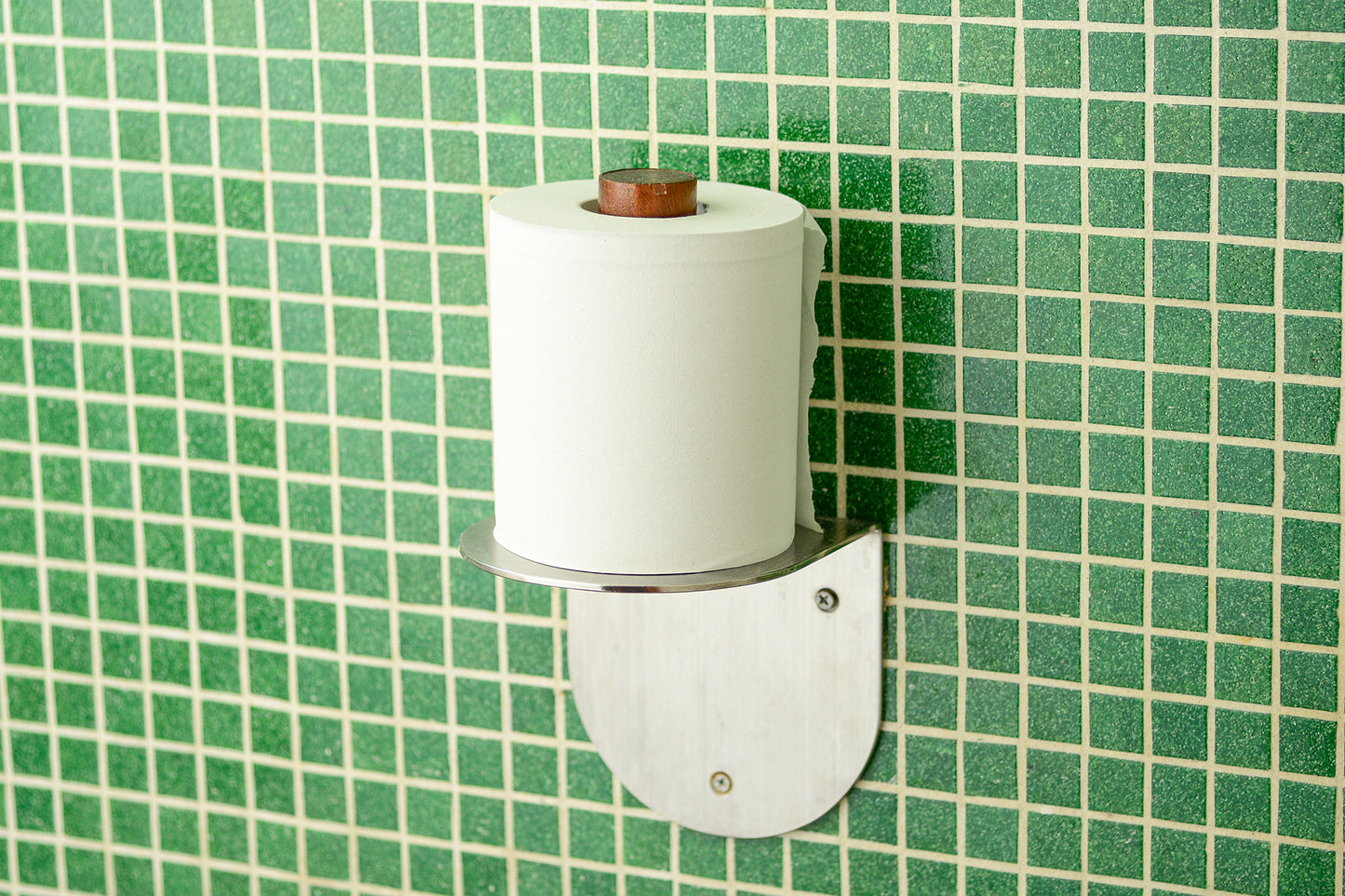 Dwell Toilet Paper Holder / single