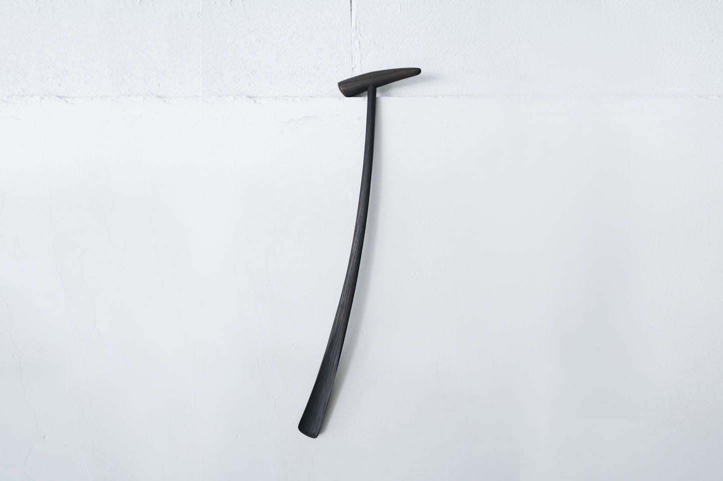 Shoehorn