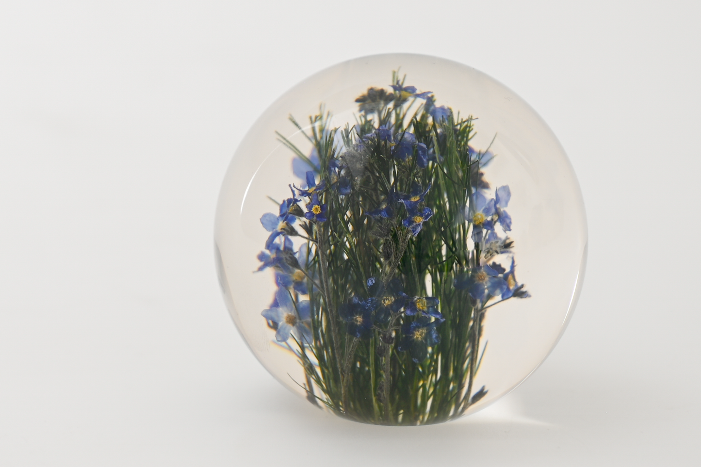 Paperweight