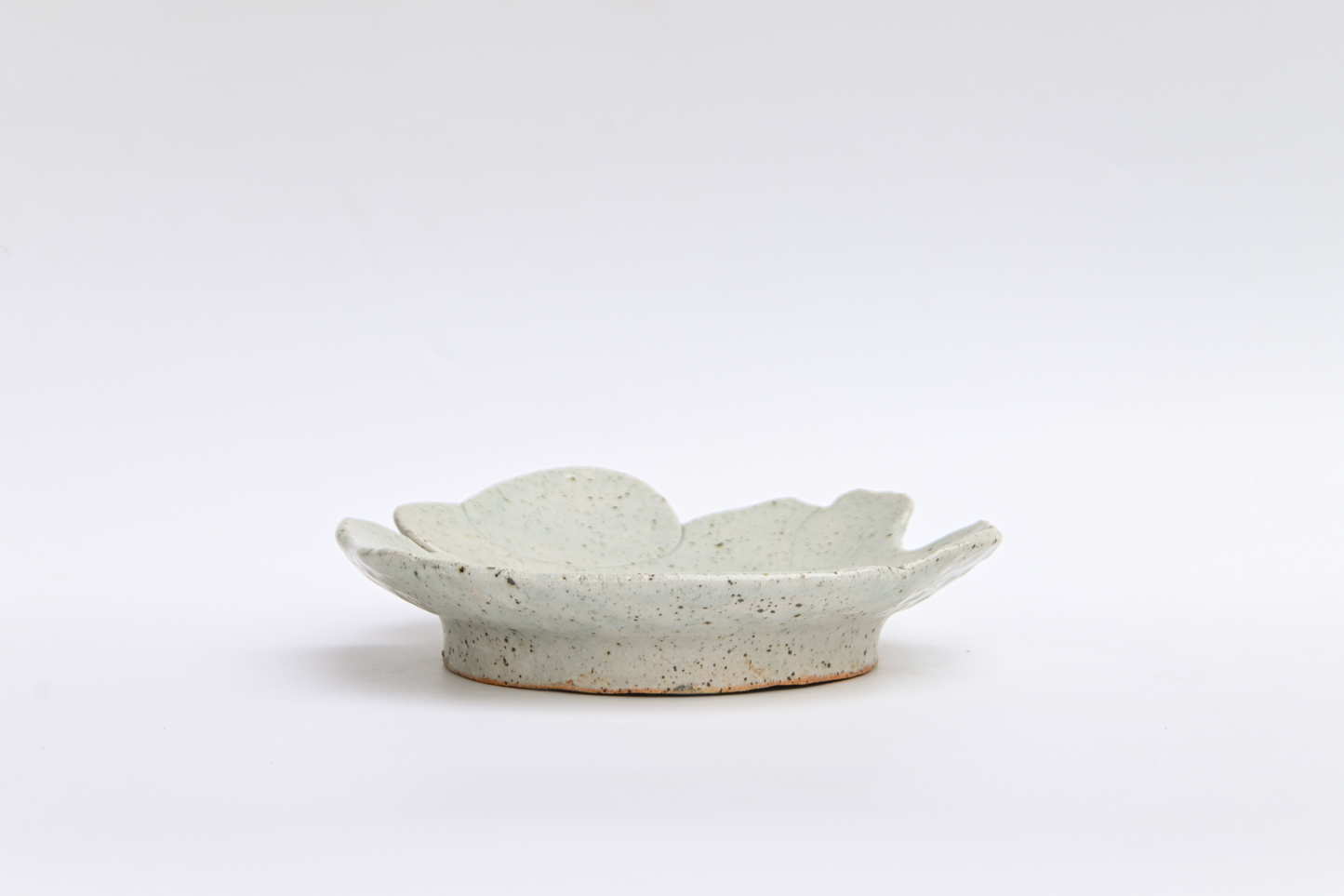 42. Assembled Plate / Wall-hanging