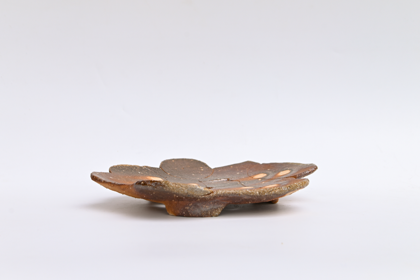 44. Assembled Plate / Wall-hanging