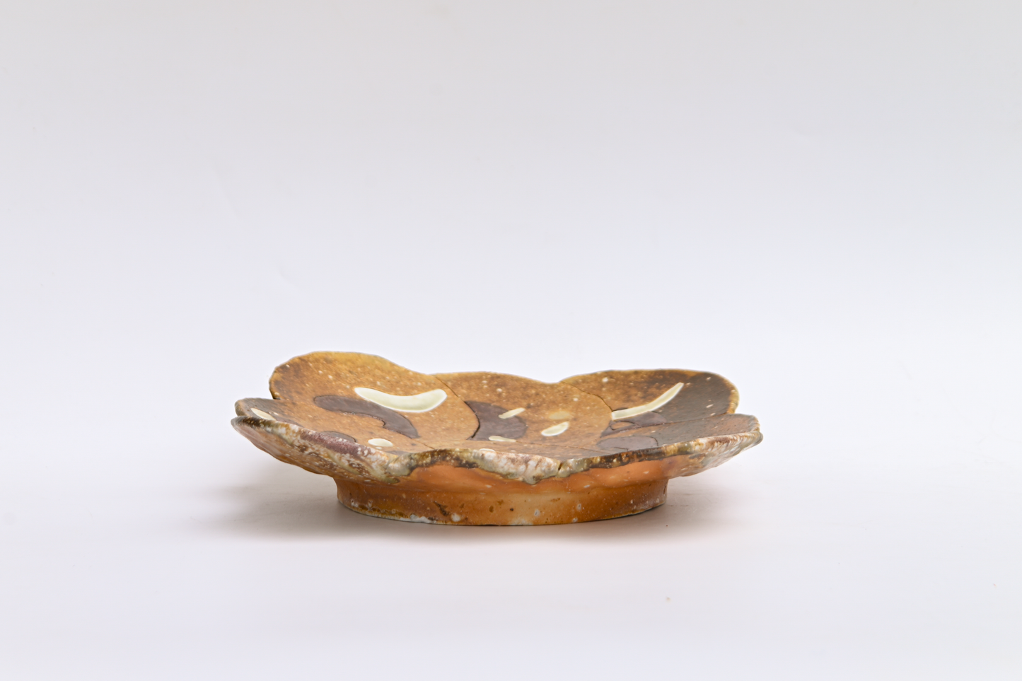 46. Assembled Plate / Wall-hanging
