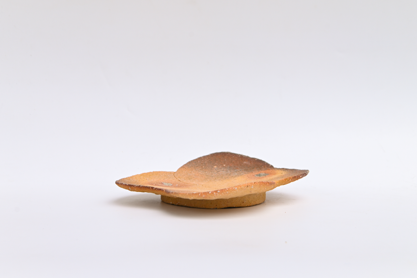 47. Assembled Plate / Wall-hanging
