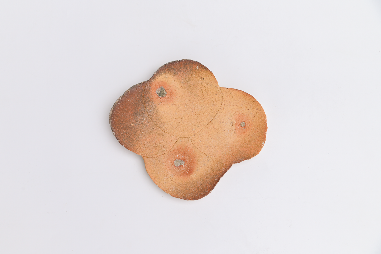 47. Assembled Plate / Wall-hanging