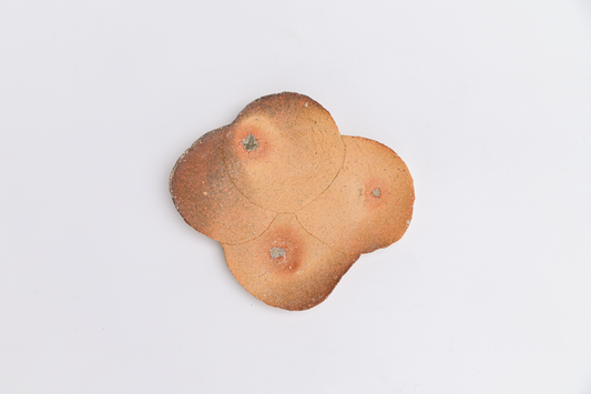 47. Assembled Plate / Wall-hanging