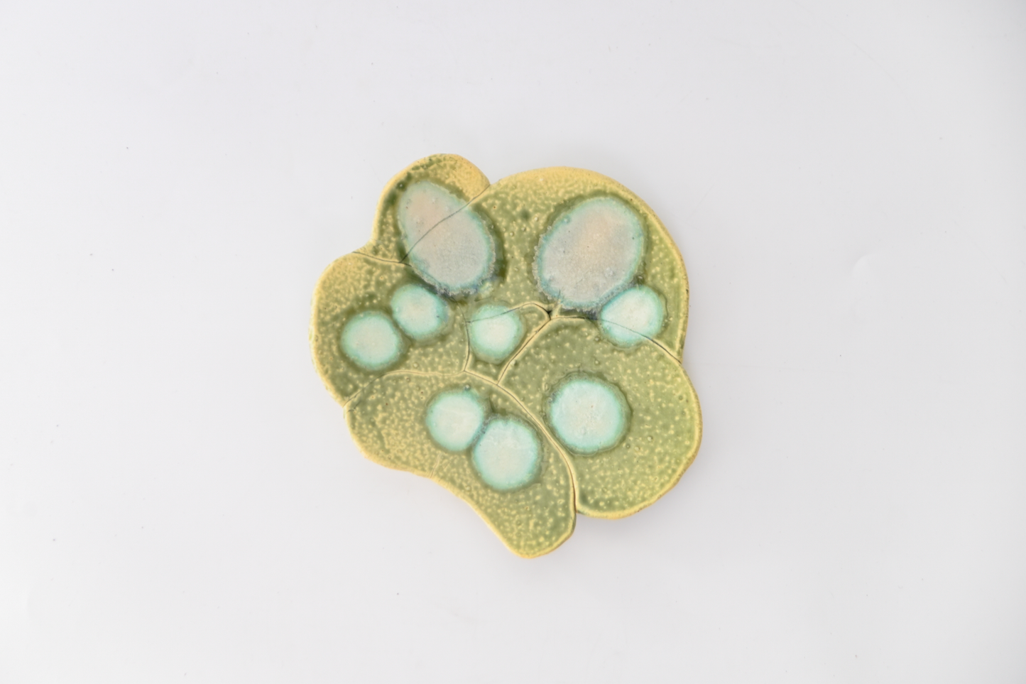 51. Assembled Plate / Wall-hanging