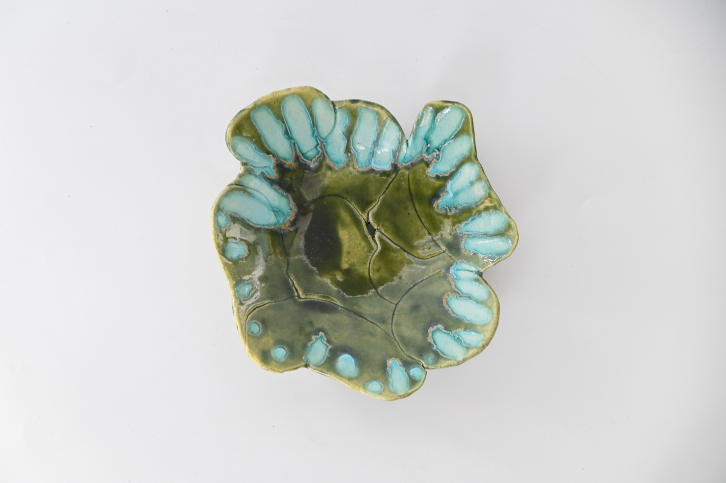 50. Assembled Plate / Wall-hanging