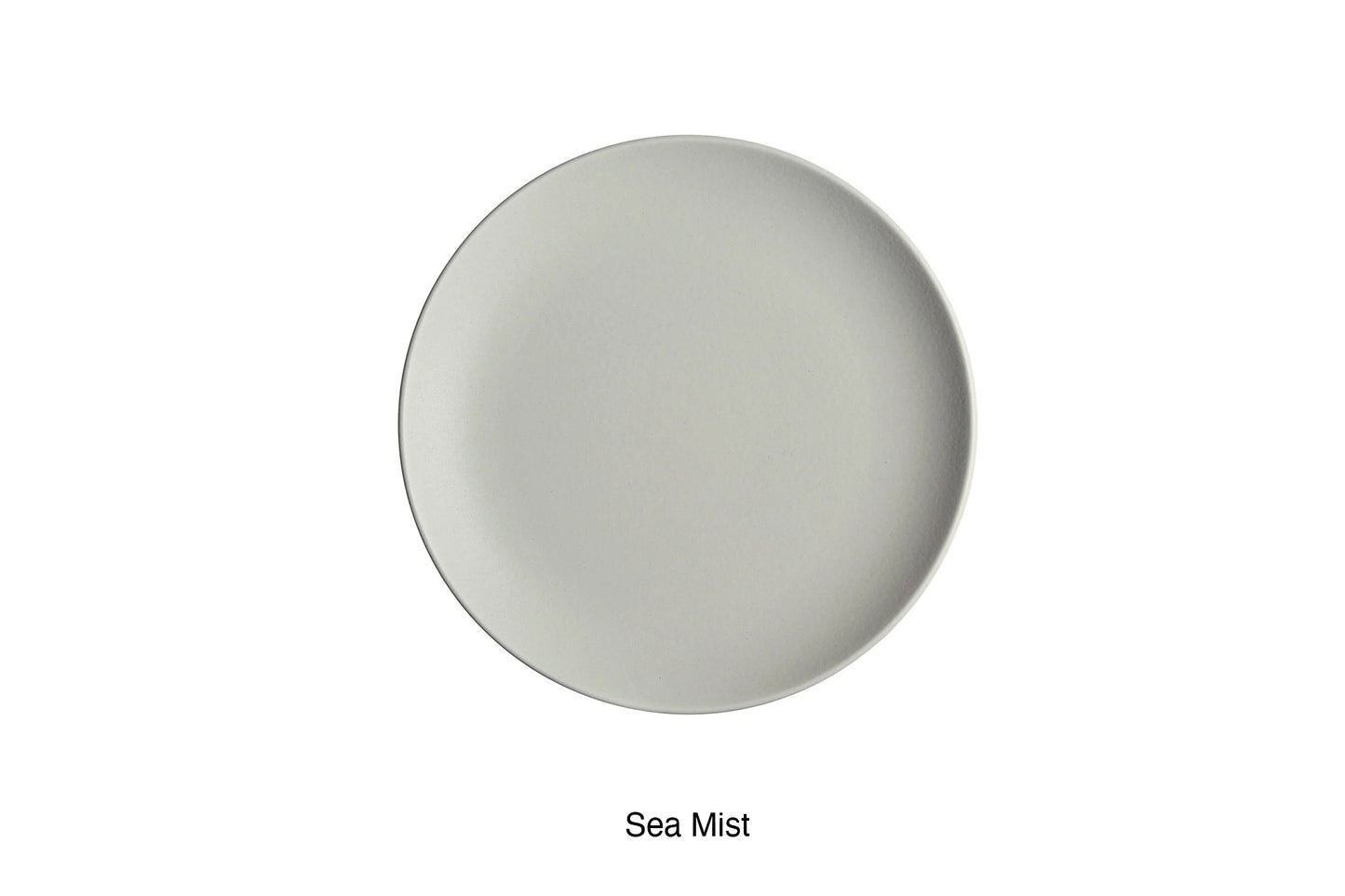 Dinner Plate/One tone/Coupe