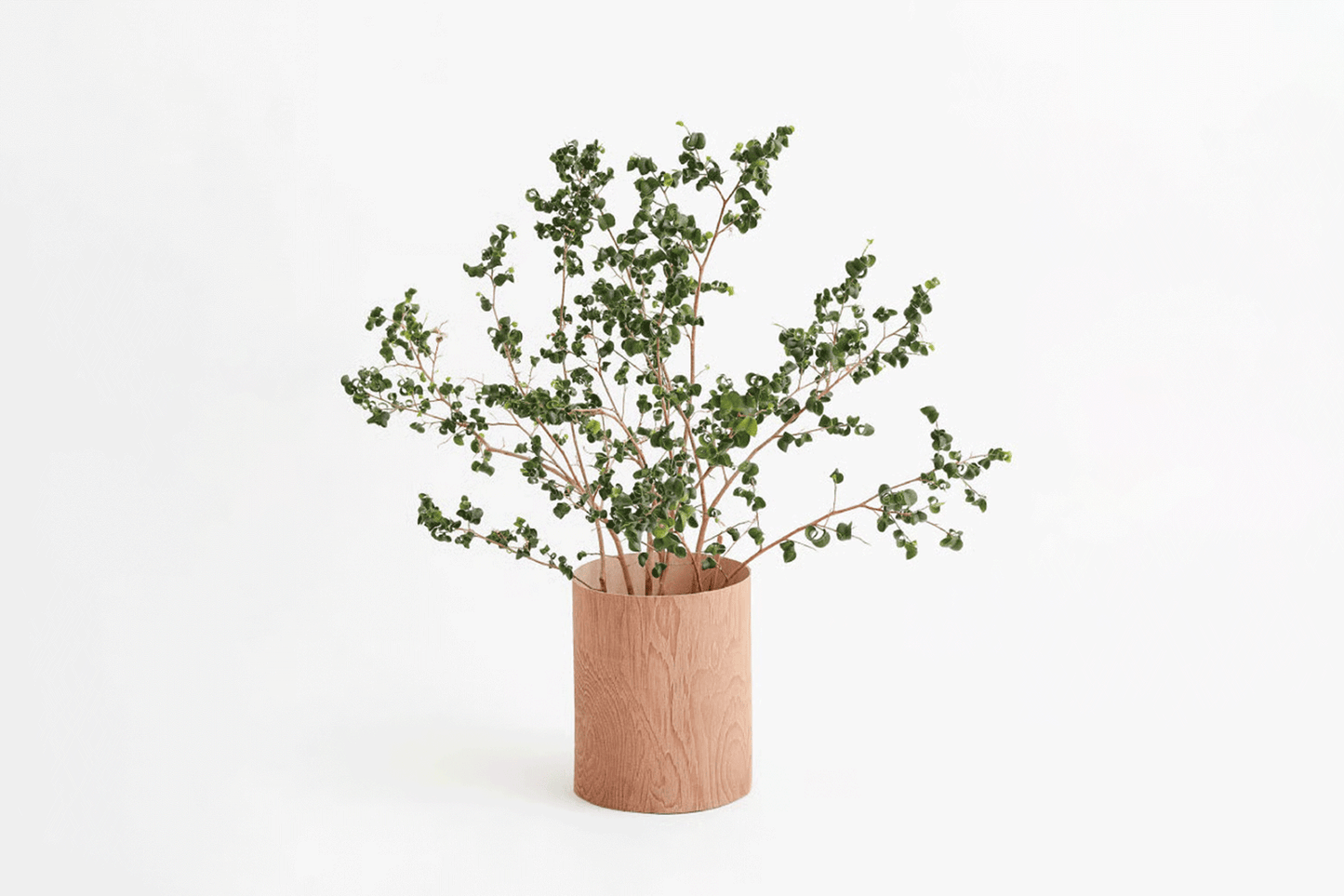 PLYWOOD LEATHER TRASH BASKET