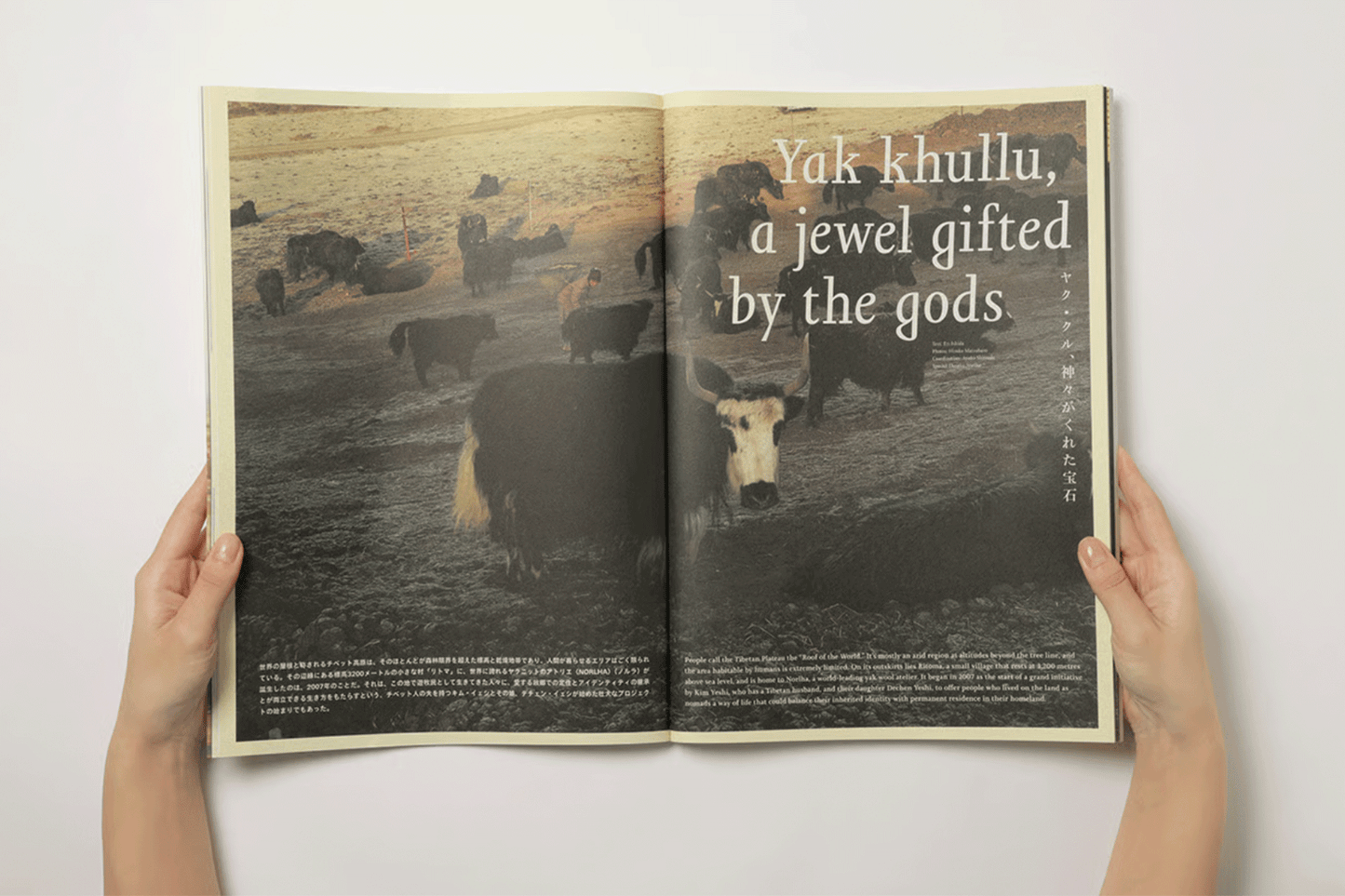 [先行予約] Subsequence Magazine Vol.8