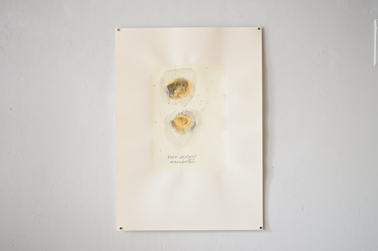 Works on Paper #29