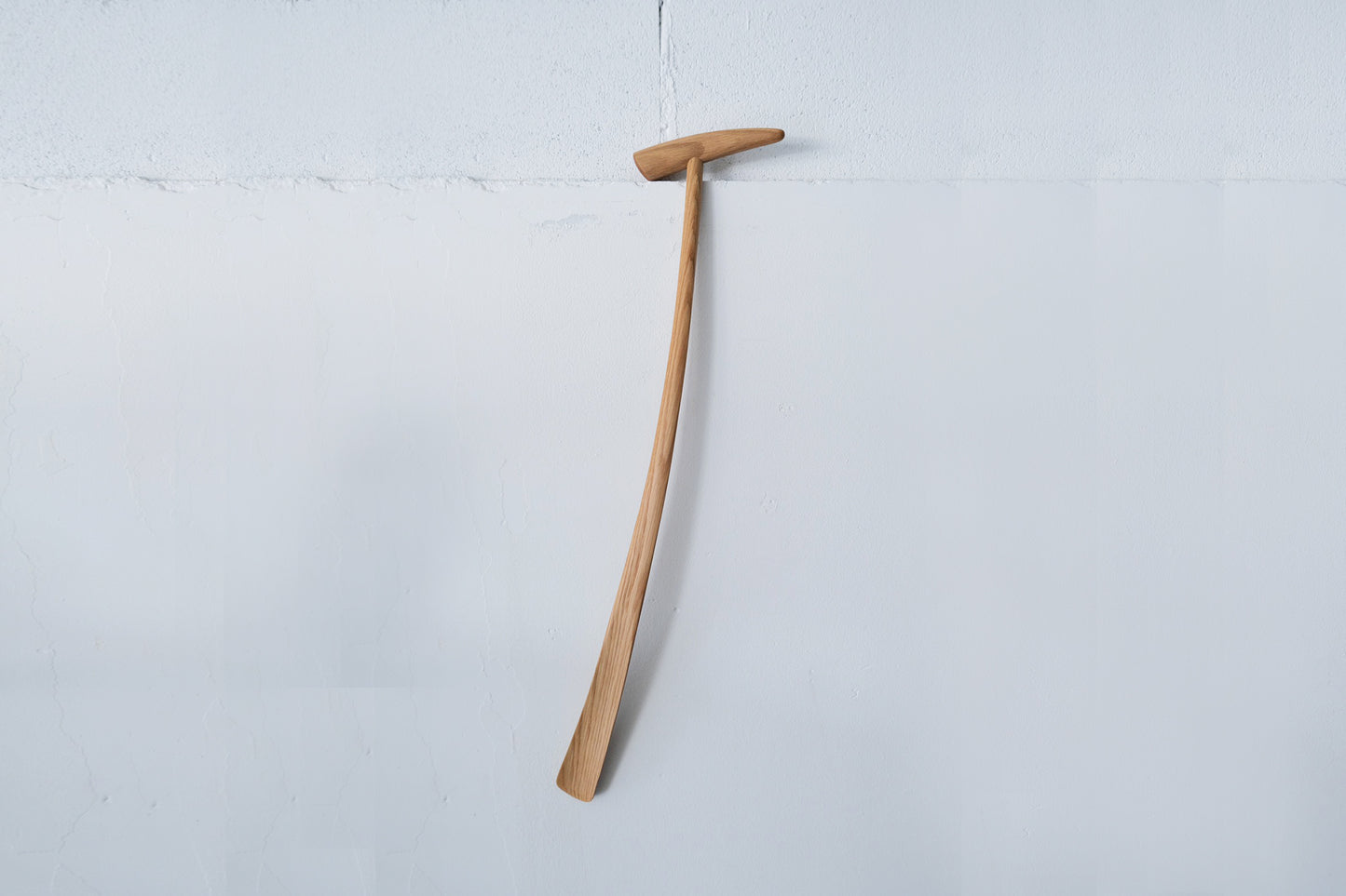 Shoehorn