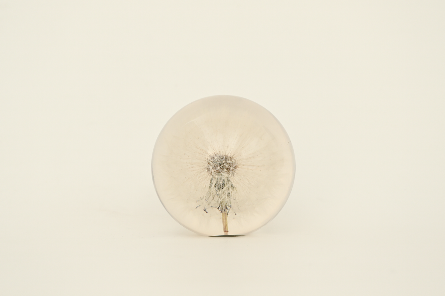 Paperweight