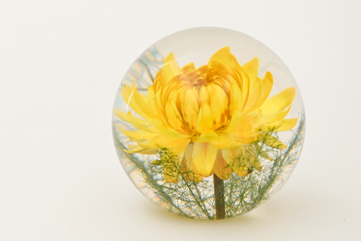 Paperweight