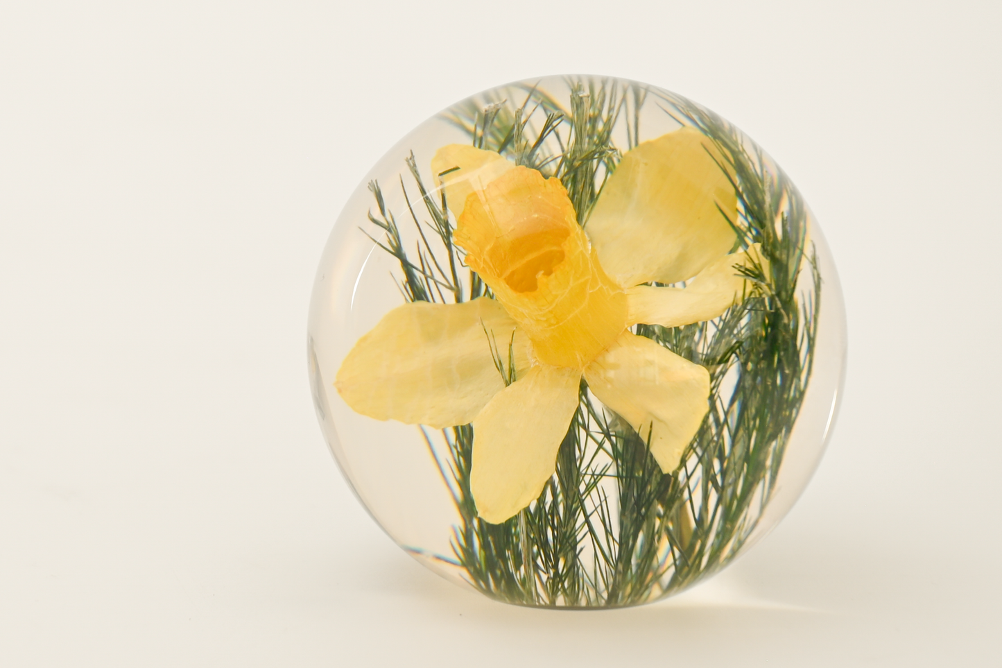 Paperweight