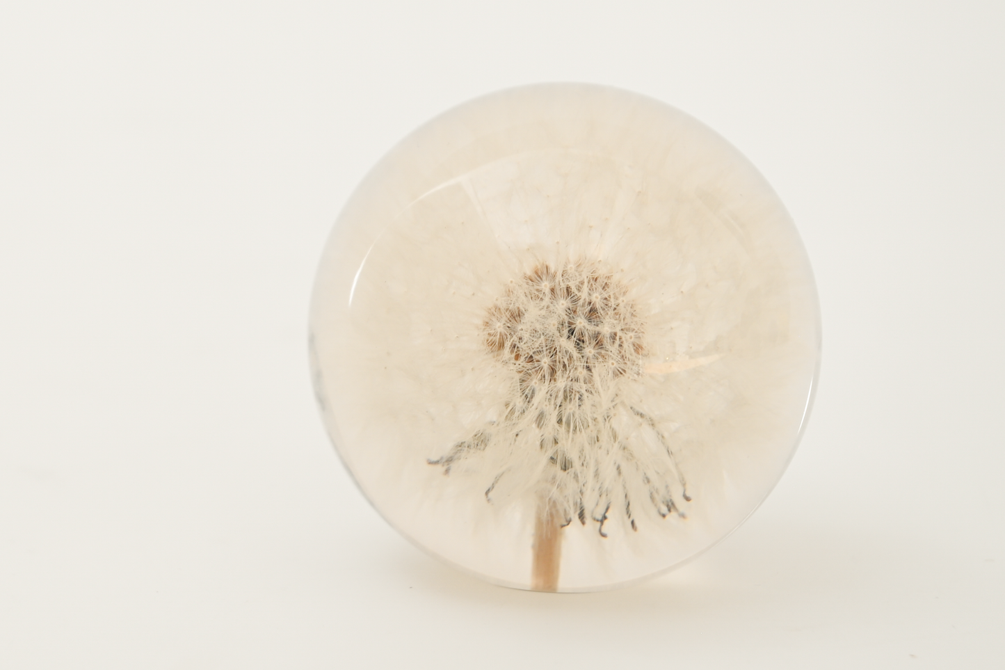 Paperweight