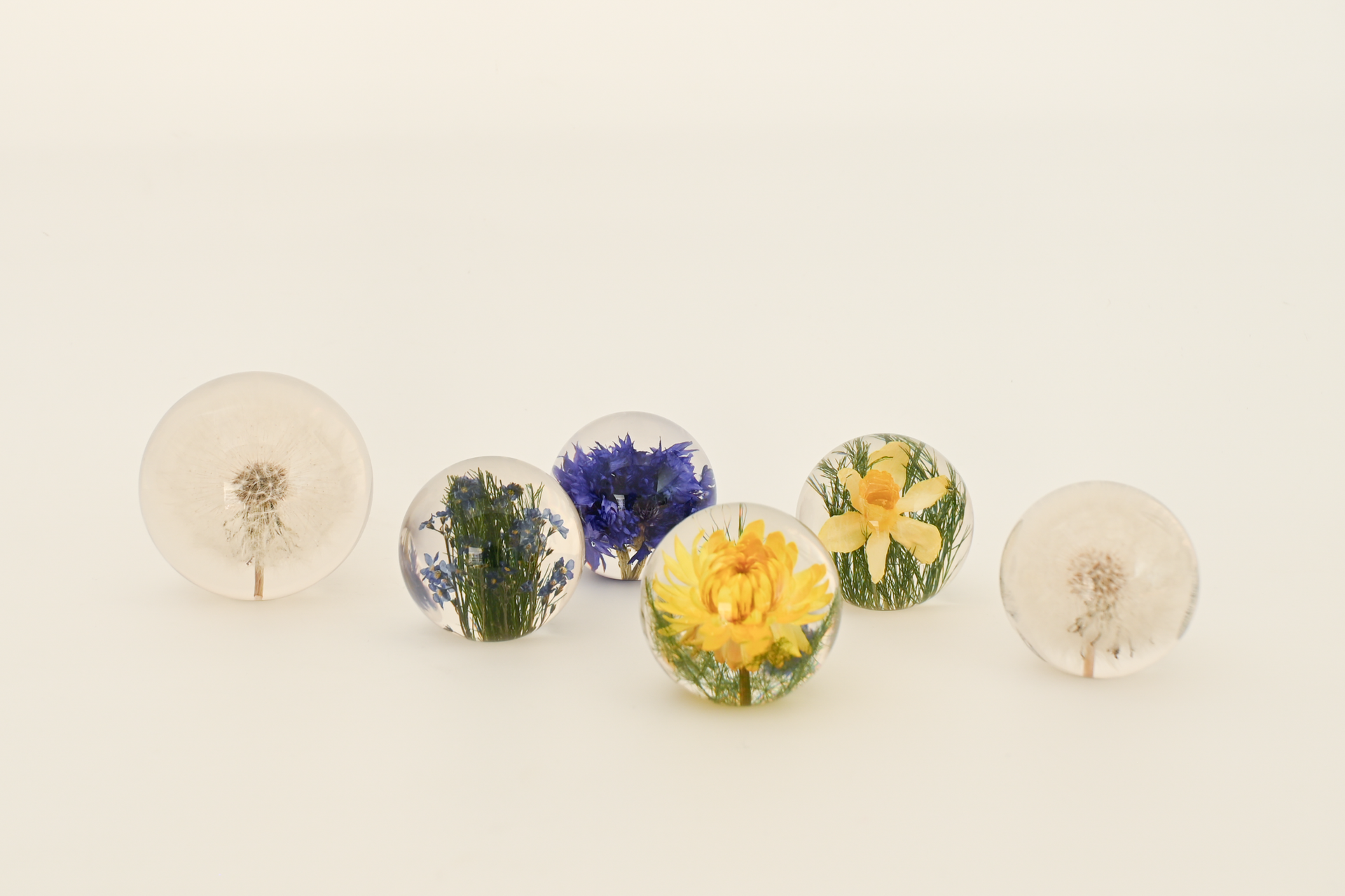Paperweight – Playmountain