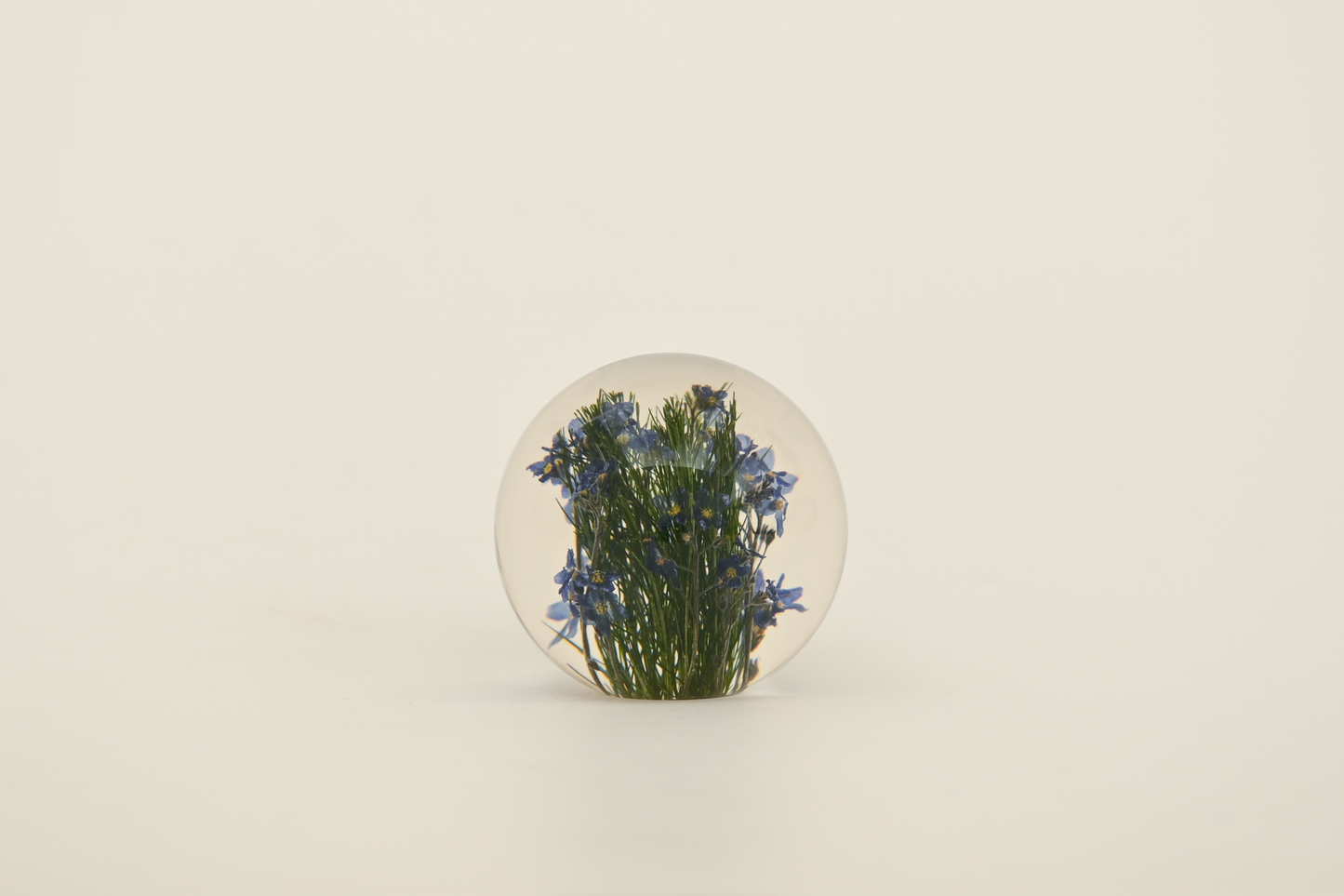 Paperweight