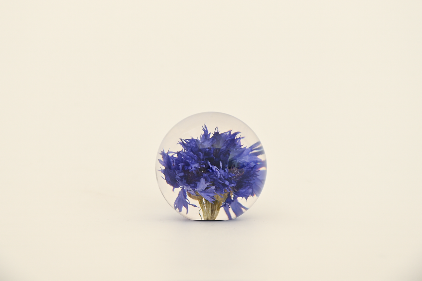 Paperweight