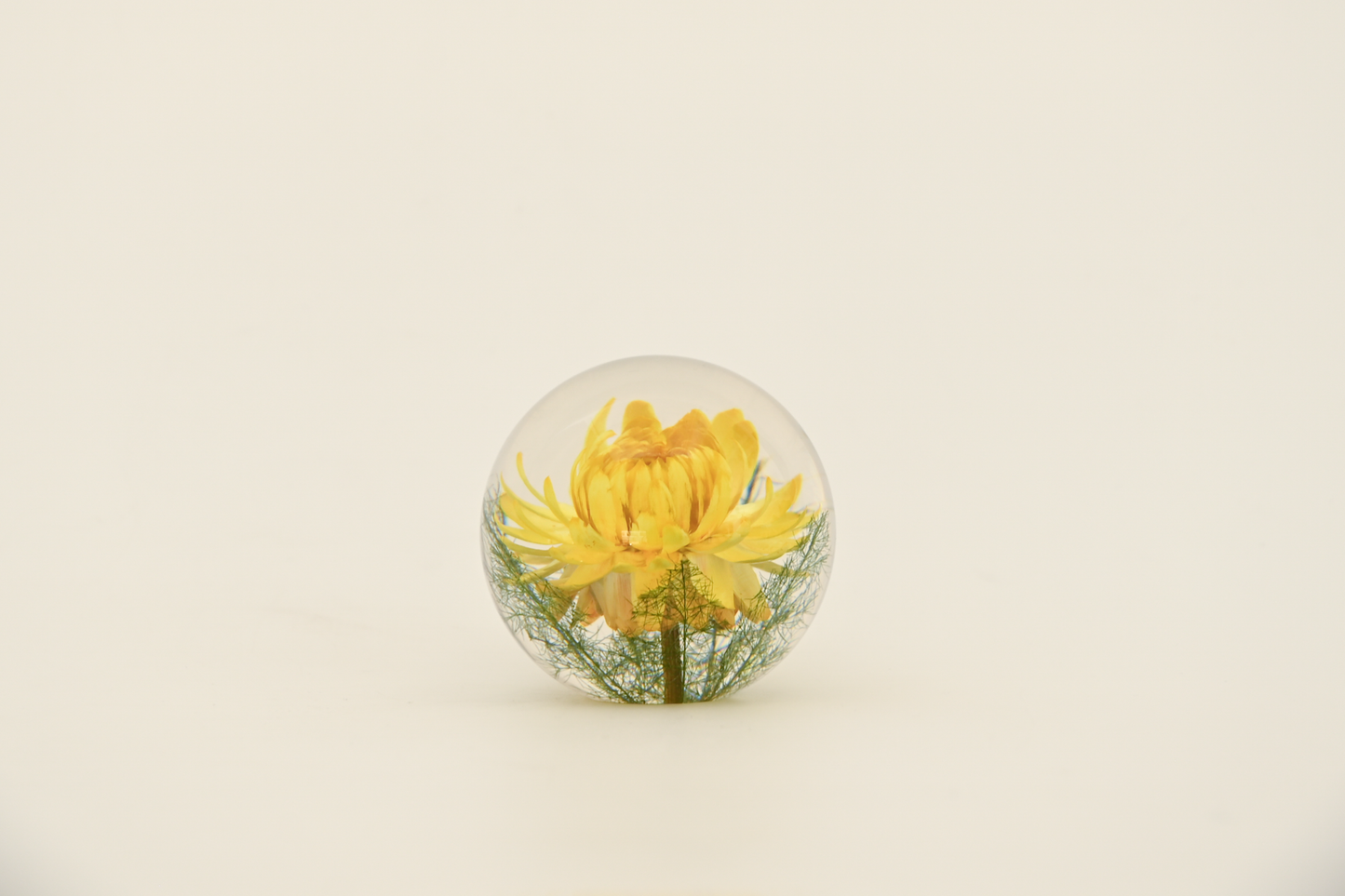 Paperweight