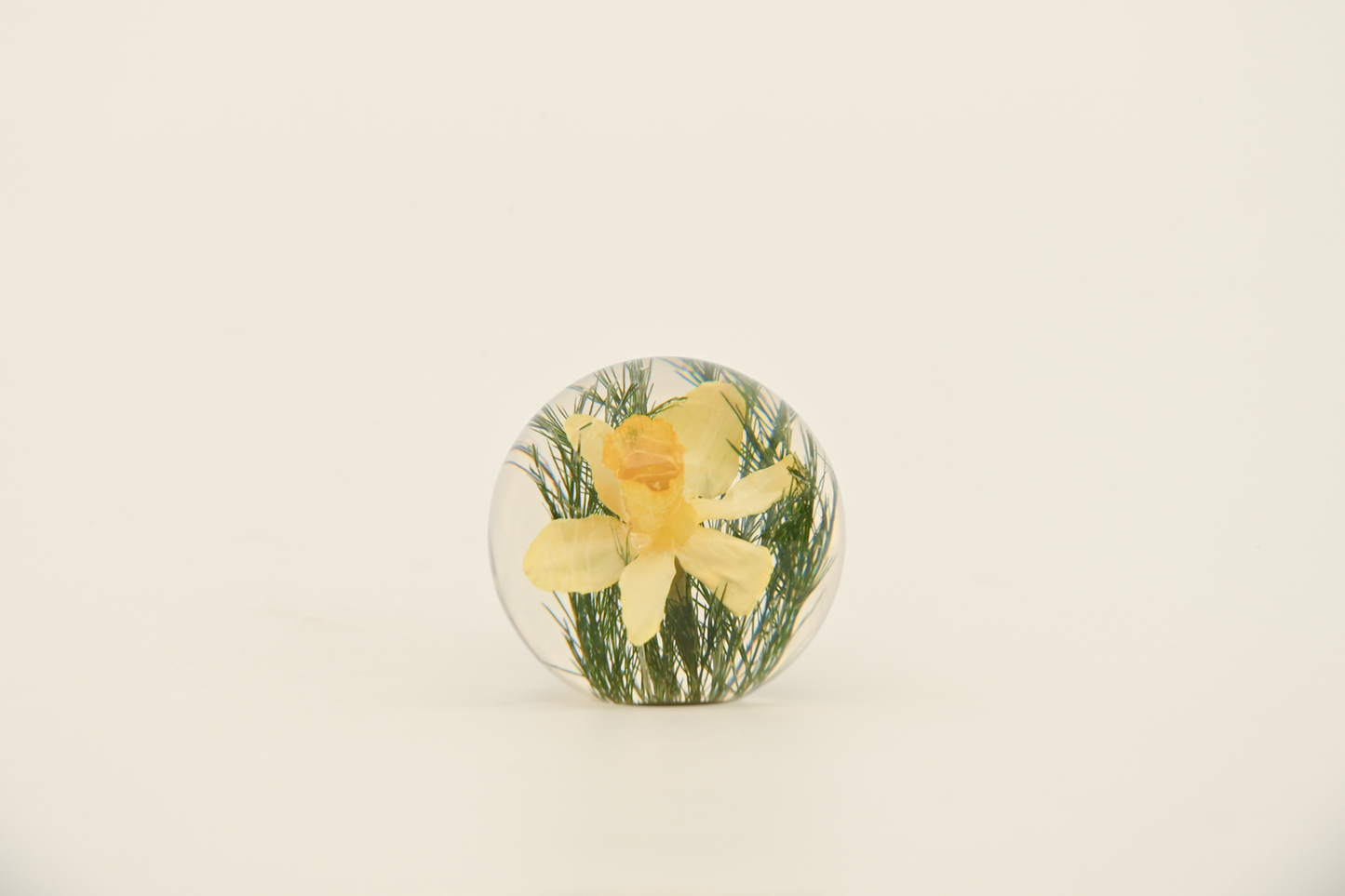 Paperweight
