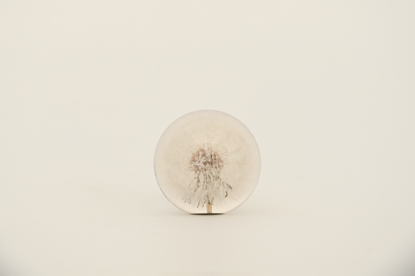 Paperweight
