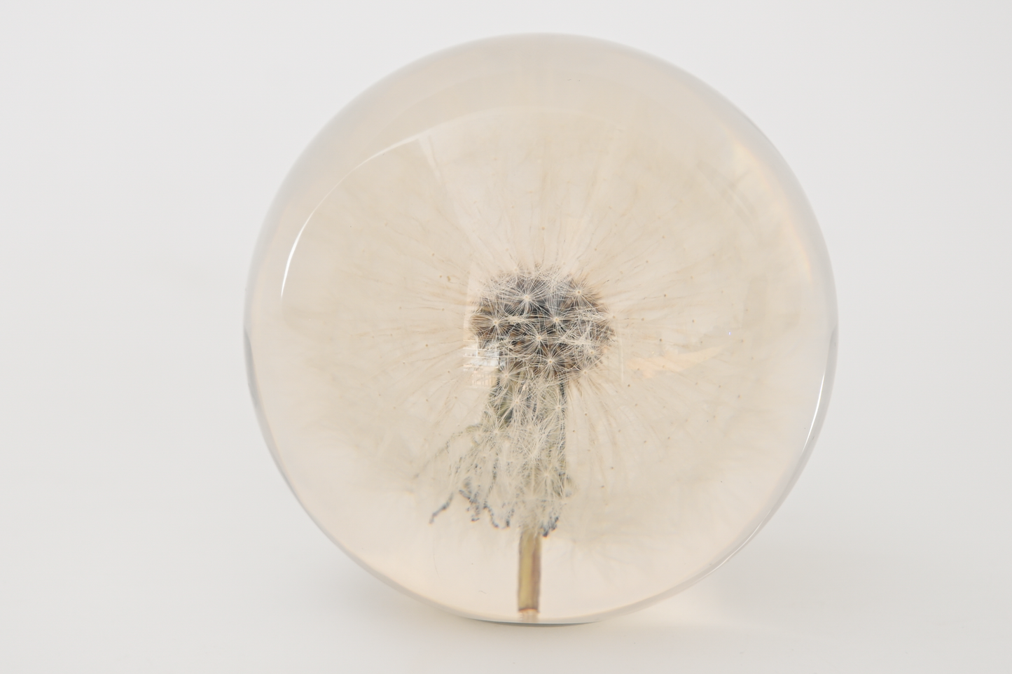 Paperweight