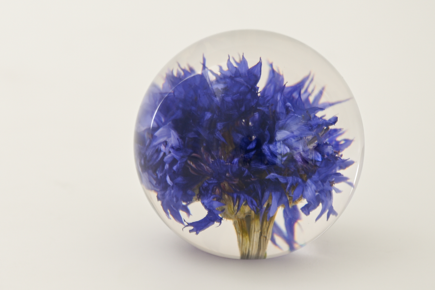 Paperweight