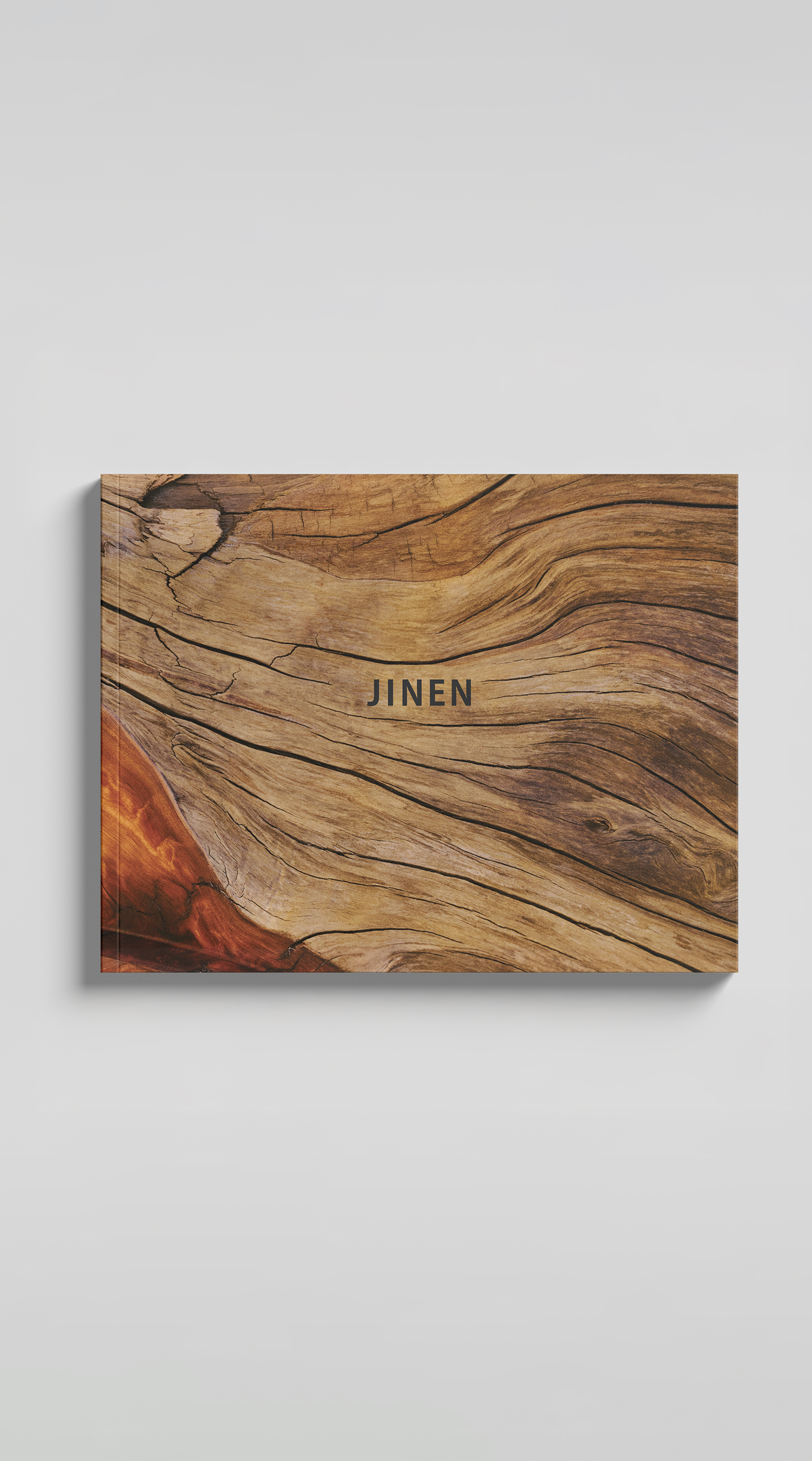 Playmountain Playmountain